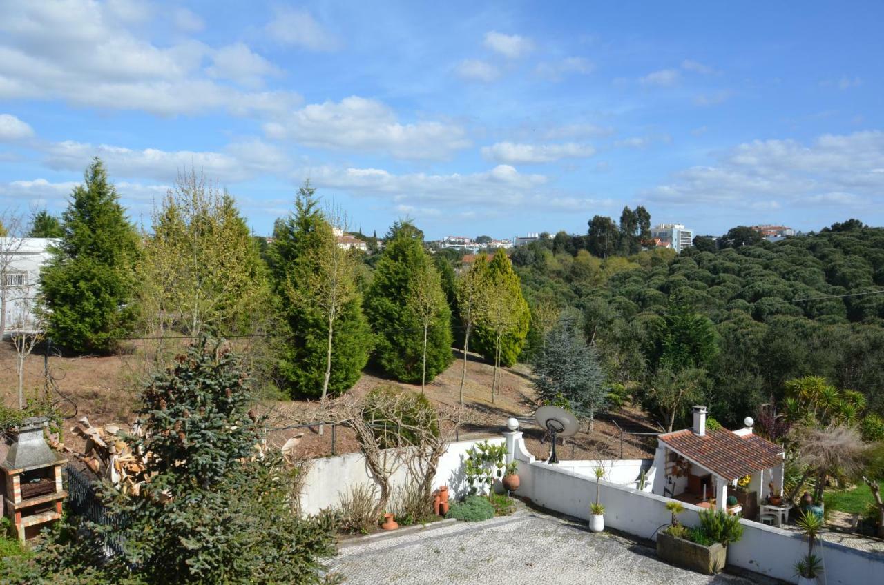 Casa Da Palmeira Leiria Dış mekan fotoğraf