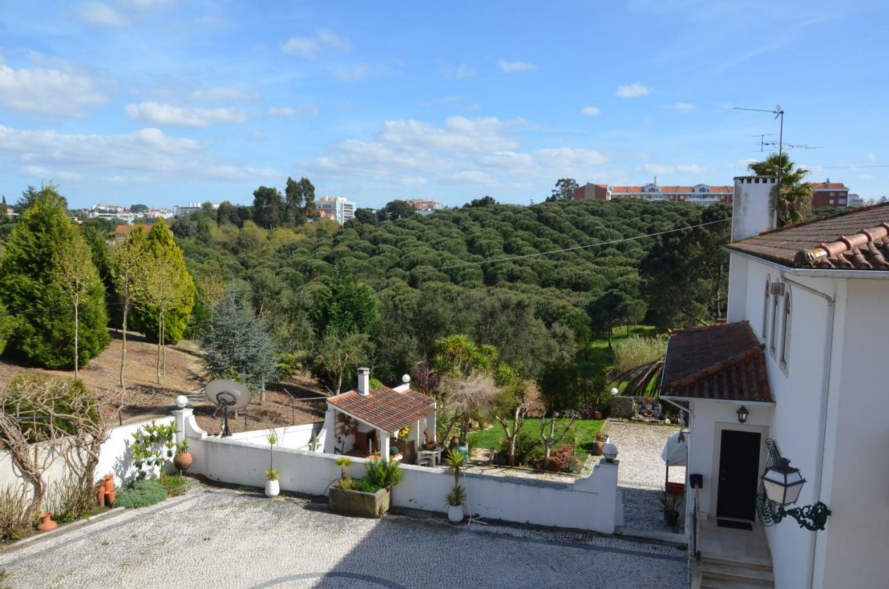 Casa Da Palmeira Leiria Dış mekan fotoğraf