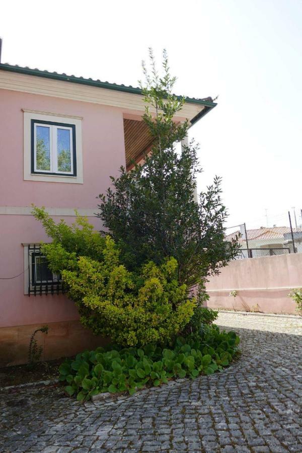 Casa Da Palmeira Leiria Dış mekan fotoğraf